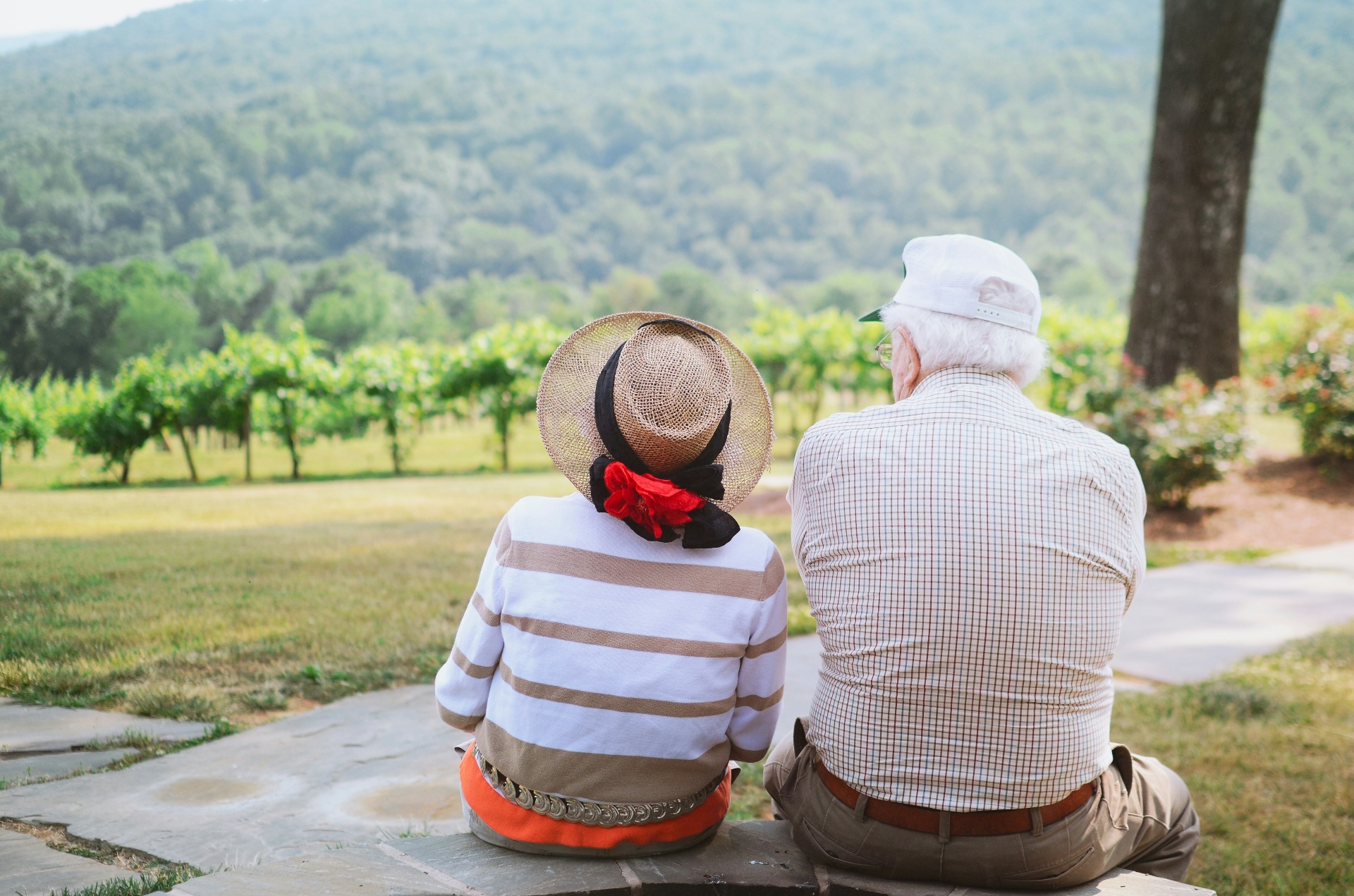 Senior couple enjoying a quiet moment overlooking a vineyard